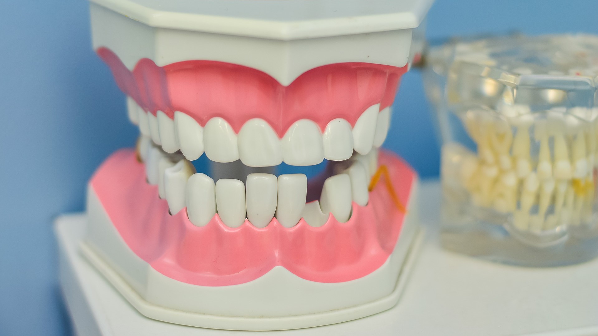 La relación entre la pérdida de los dientes y la pérdida de memoria