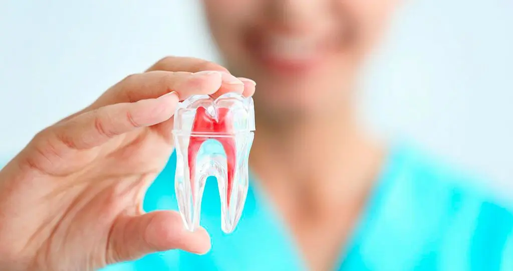 Consejos para el cuidado bucal después de una endodoncia